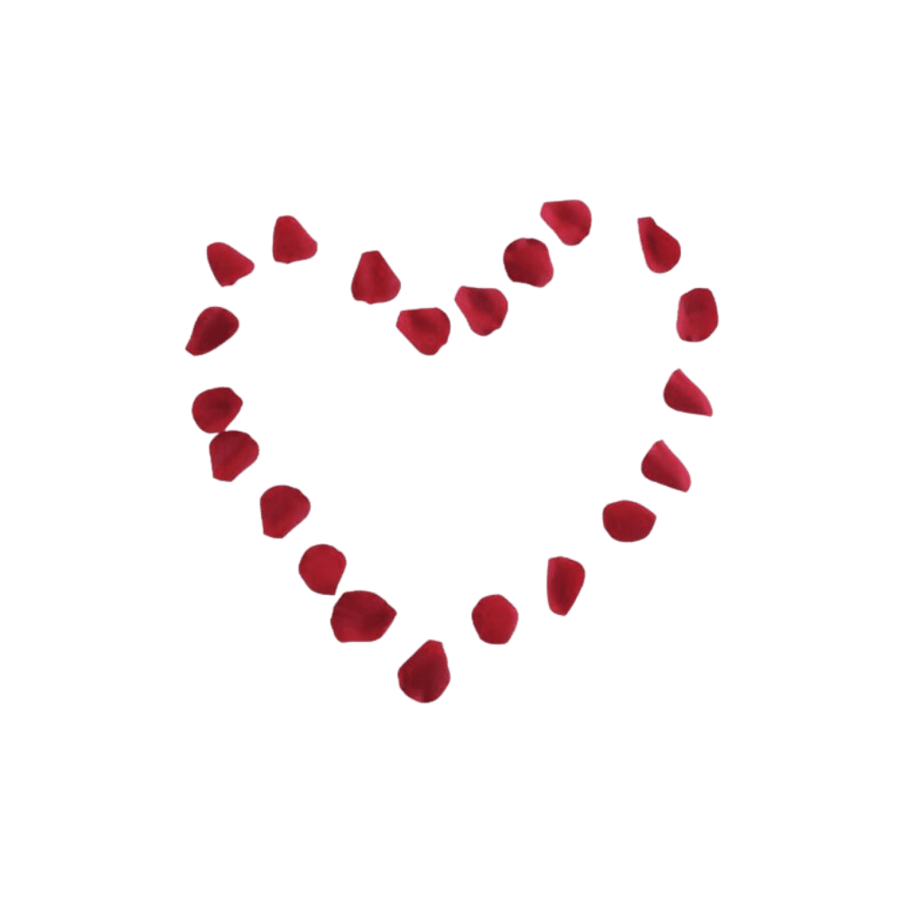 Proposal & Anniversary Gallery