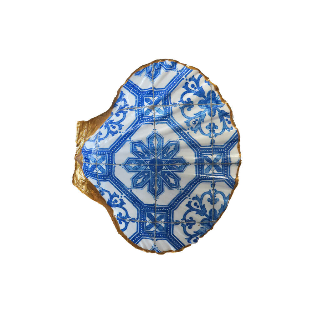 Blue & White Seashell Collection