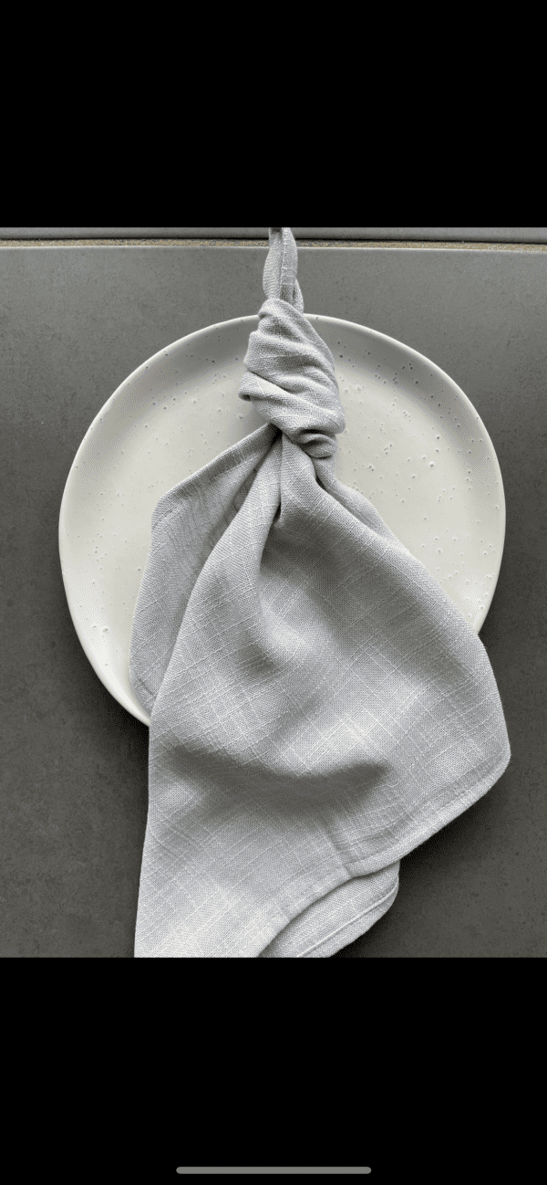 Navy Napkins NS Prop Styling