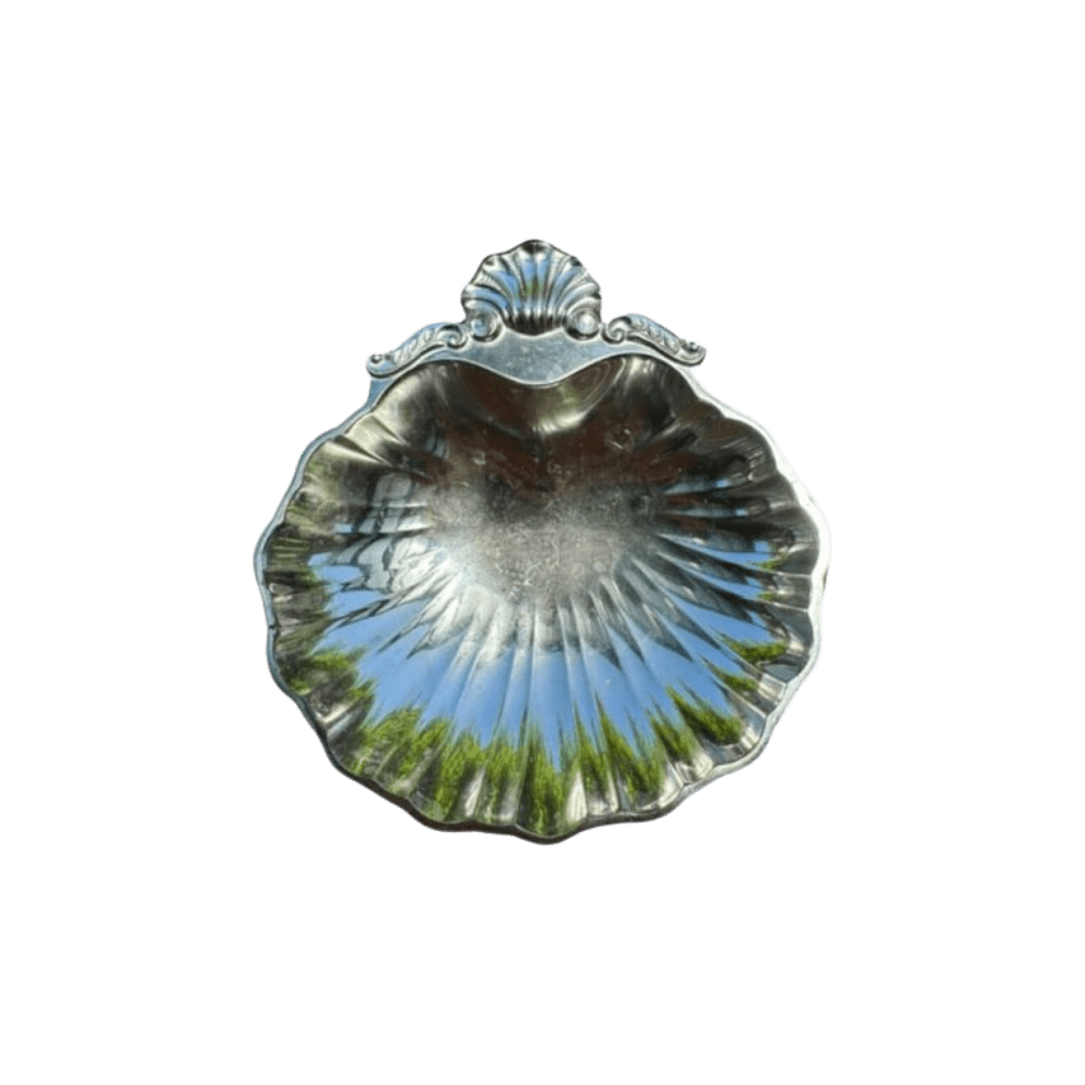 Medium Silver Clam